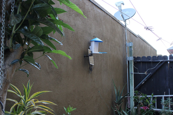 Echora BirdWatch