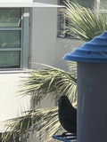 Echora BirdWatch