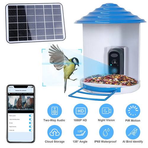 Echora BirdWatch — Smart Bird Feeder with HD Camera